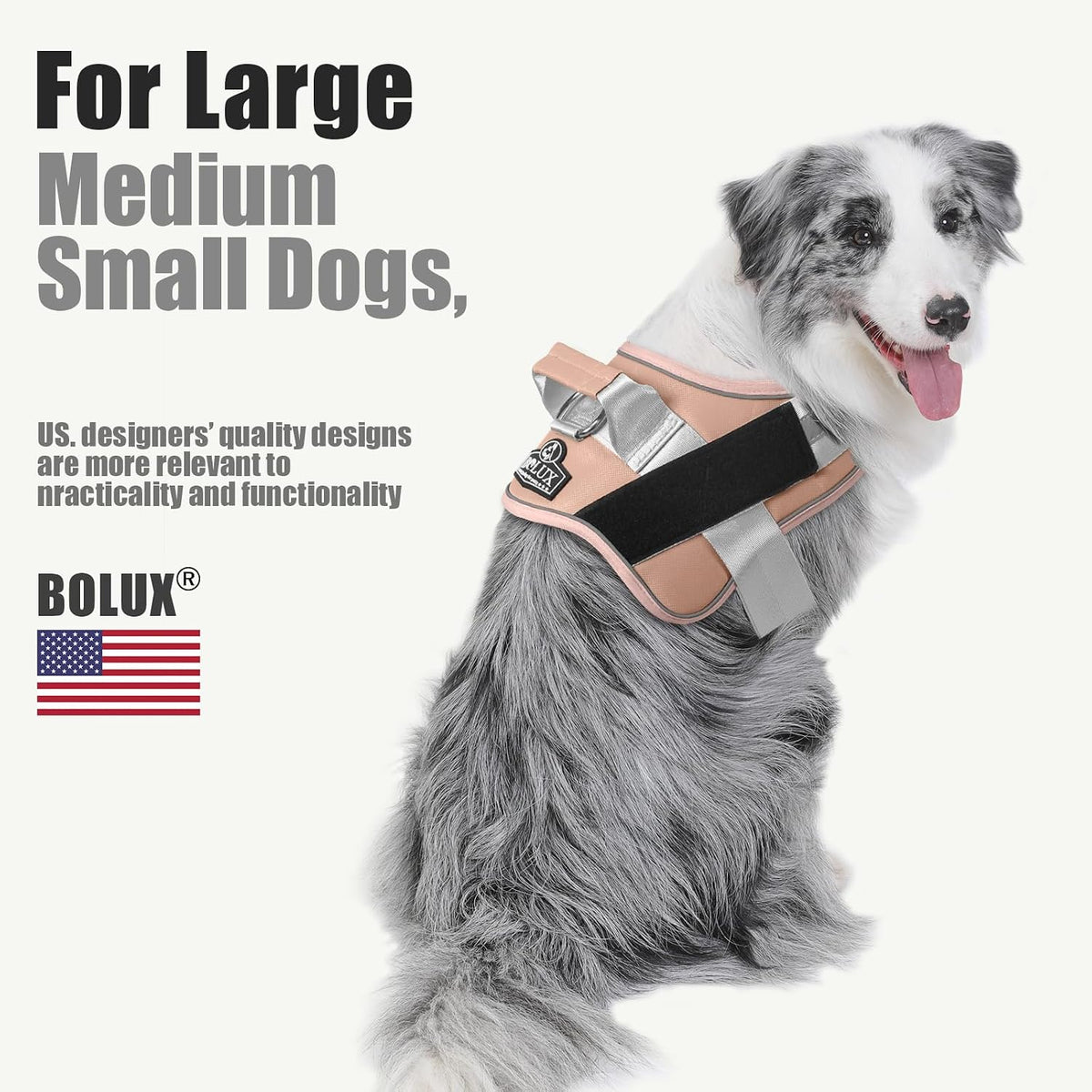Dog Harness, No-Pull Reflective Dog Vest, Breathable Adjustable Pet Harness with Handle for Outdoor Walking - No More Pulling, Tugging or Choking (Blue, S)