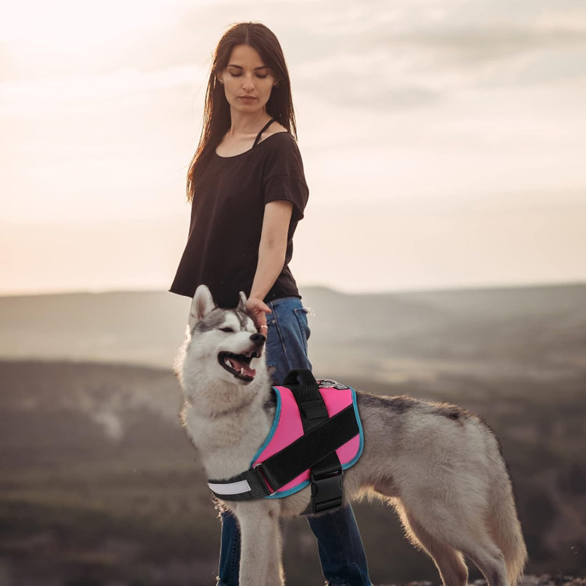Dog Harness, No-Pull Reflective Dog Vest, Breathable Adjustable Pet Harness with Handle for Outdoor Walking - No More Pulling, Tugging or Choking (Blue, S)