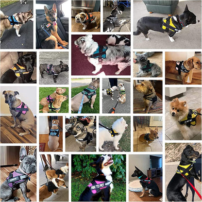 Dog Harness, No-Pull Reflective Dog Vest, Breathable Adjustable Pet Harness with Handle for Outdoor Walking - No More Pulling, Tugging or Choking (Blue, S)
