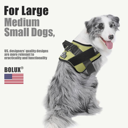 Dog Harness, No-Pull Reflective Dog Vest, Breathable Adjustable Pet Harness with Handle for Outdoor Walking - No More Pulling, Tugging or Choking (Blue, S)