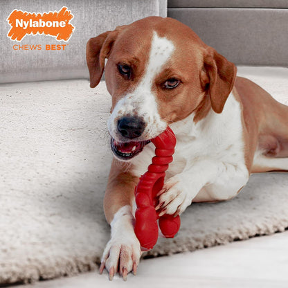 Lobster Power Chew Toy for Dogs, Dog Toys for Aggressive Chewers