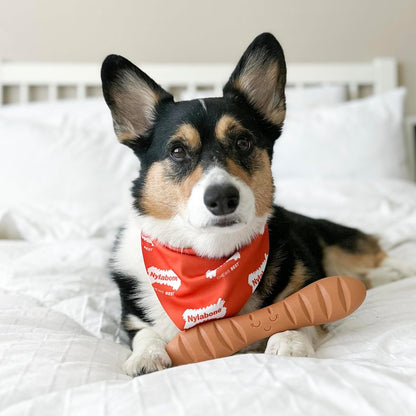 Lobster Power Chew Toy for Dogs, Dog Toys for Aggressive Chewers