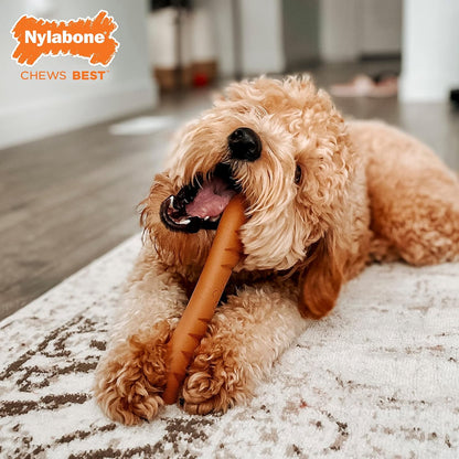 Lobster Power Chew Toy for Dogs, Dog Toys for Aggressive Chewers