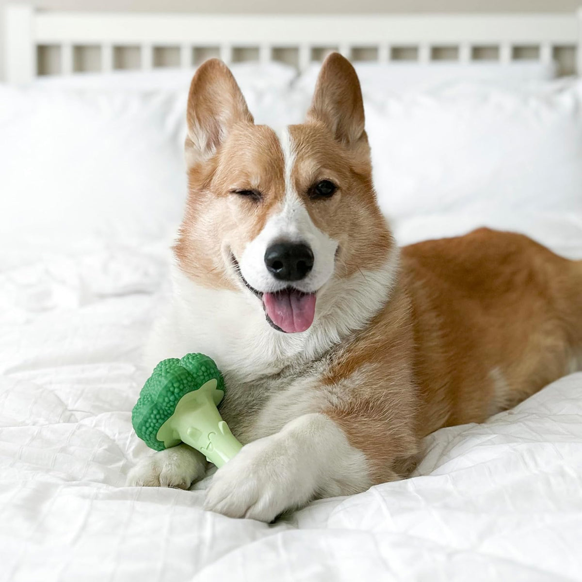 Lobster Power Chew Toy for Dogs, Dog Toys for Aggressive Chewers