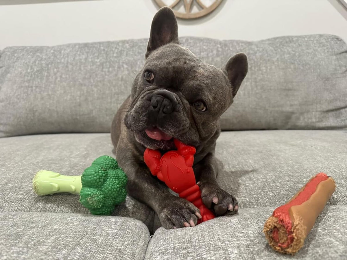 Lobster Power Chew Toy for Dogs, Dog Toys for Aggressive Chewers