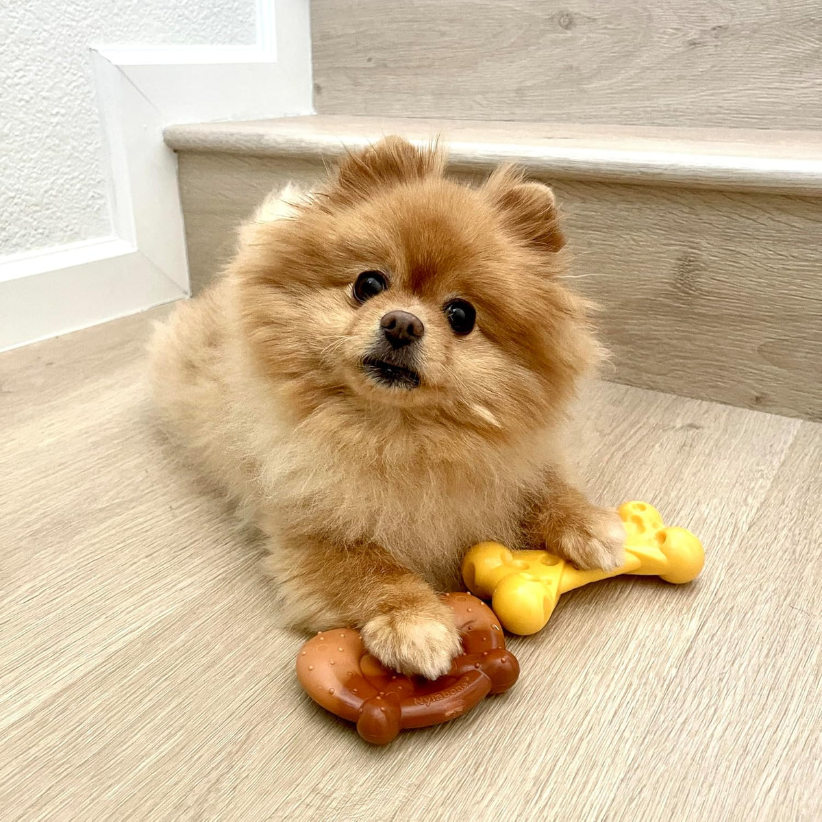 Lobster Power Chew Toy for Dogs, Dog Toys for Aggressive Chewers