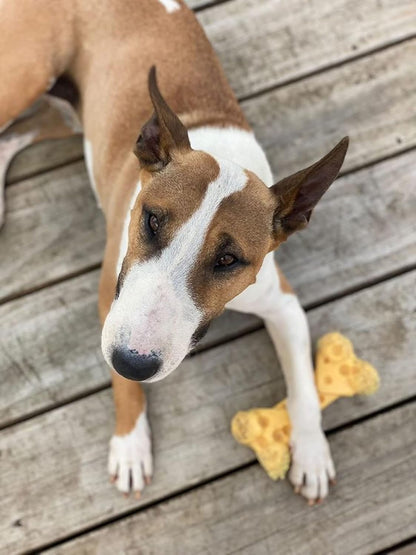 Lobster Power Chew Toy for Dogs, Dog Toys for Aggressive Chewers