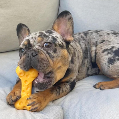 Lobster Power Chew Toy for Dogs, Dog Toys for Aggressive Chewers
