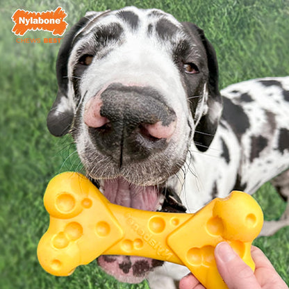 Lobster Power Chew Toy for Dogs, Dog Toys for Aggressive Chewers