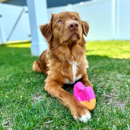 Lobster Power Chew Toy for Dogs, Dog Toys for Aggressive Chewers