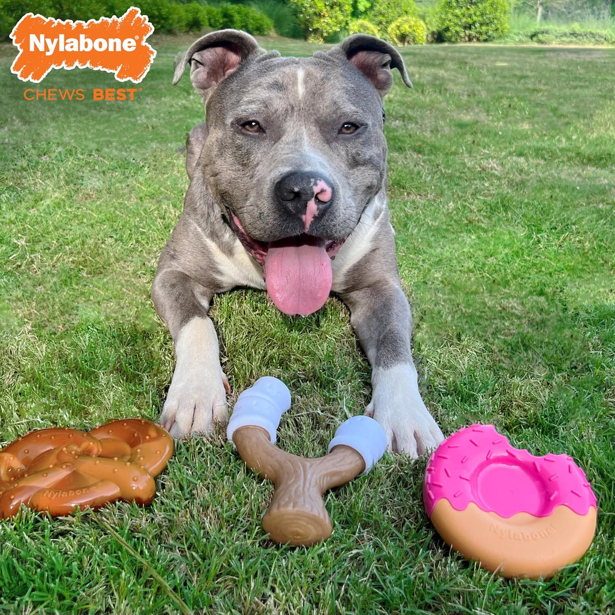 Lobster Power Chew Toy for Dogs, Dog Toys for Aggressive Chewers