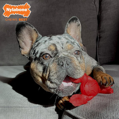 Lobster Power Chew Toy for Dogs, Dog Toys for Aggressive Chewers