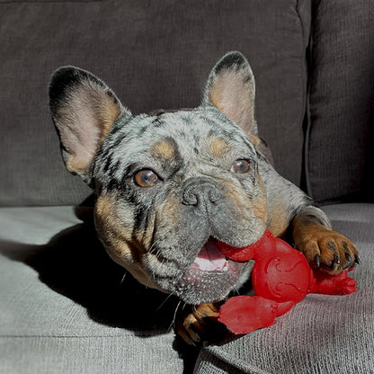 Lobster Power Chew Toy for Dogs, Dog Toys for Aggressive Chewers