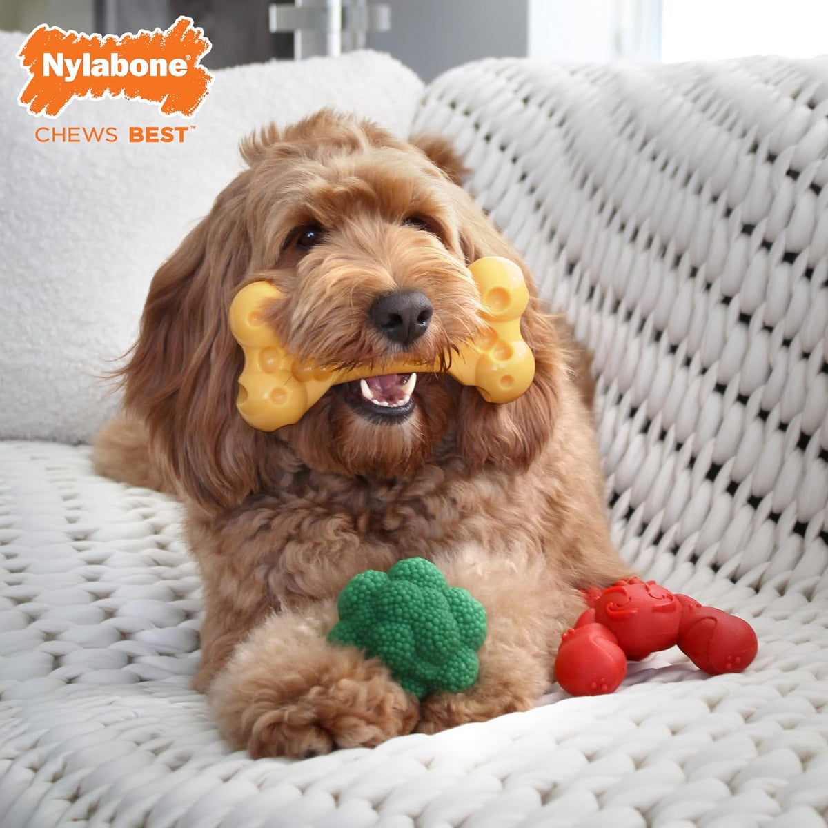 Lobster Power Chew Toy for Dogs, Dog Toys for Aggressive Chewers