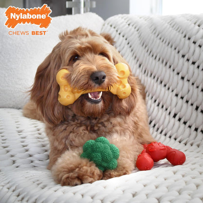 Lobster Power Chew Toy for Dogs, Dog Toys for Aggressive Chewers