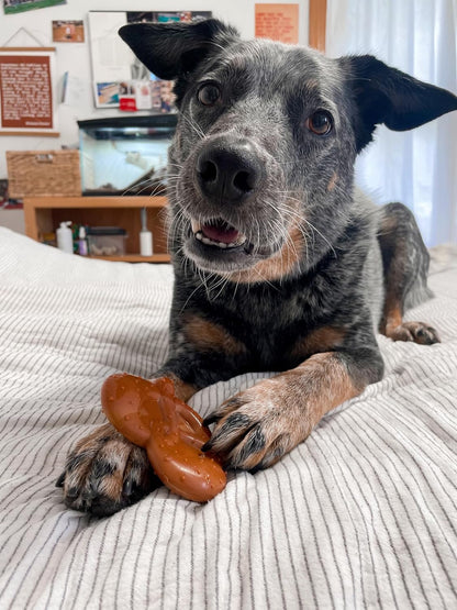 Lobster Power Chew Toy for Dogs, Dog Toys for Aggressive Chewers