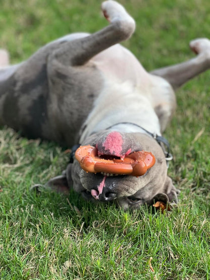 Lobster Power Chew Toy for Dogs, Dog Toys for Aggressive Chewers