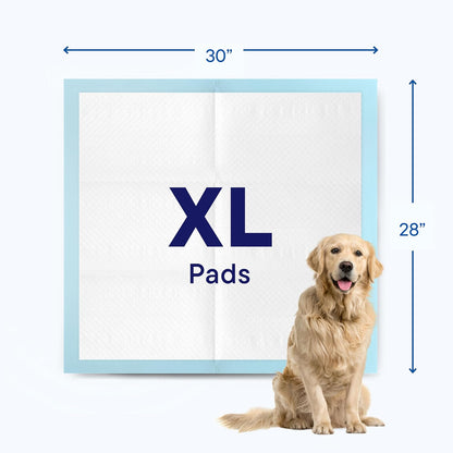 Puppy Pads Pet Pee Pads for Dogs & Puppy Training - 100 Count - Potty Pads for Dogs 22" x 22" Leak-Proof Dog Pee Pads - Quick-Dry Surface - Heavy Duty Absorbent Disposable Dog Wee Pad Bulk Pack