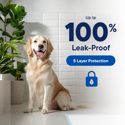 Puppy Pads Pet Pee Pads for Dogs & Puppy Training - 100 Count - Potty Pads for Dogs 22" x 22" Leak-Proof Dog Pee Pads - Quick-Dry Surface - Heavy Duty Absorbent Disposable Dog Wee Pad Bulk Pack