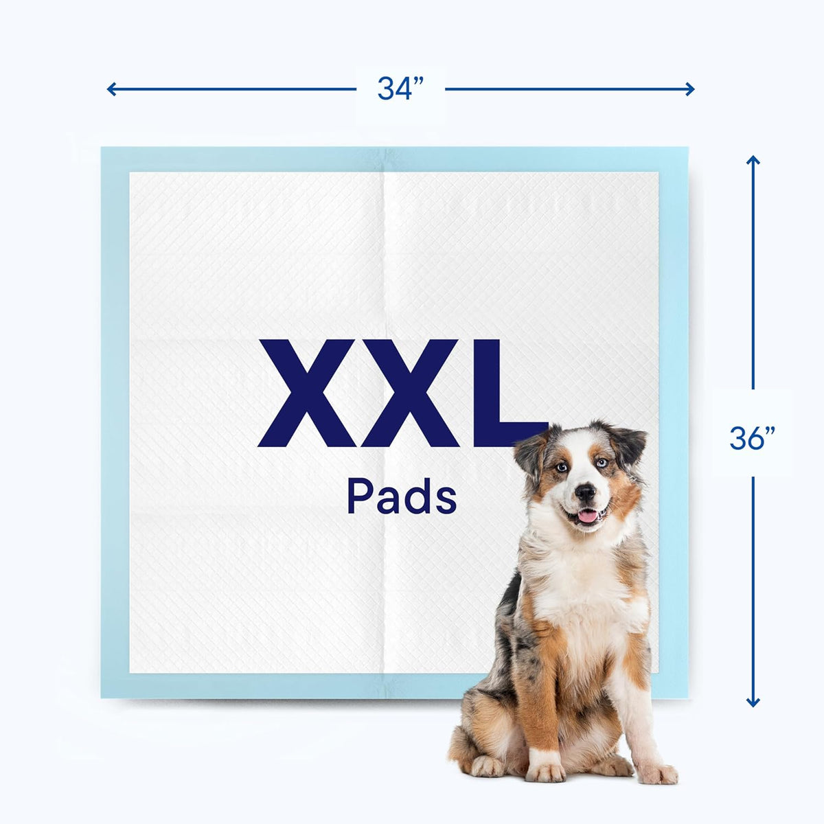 Puppy Pads Pet Pee Pads for Dogs & Puppy Training - 100 Count - Potty Pads for Dogs 22" x 22" Leak-Proof Dog Pee Pads - Quick-Dry Surface - Heavy Duty Absorbent Disposable Dog Wee Pad Bulk Pack