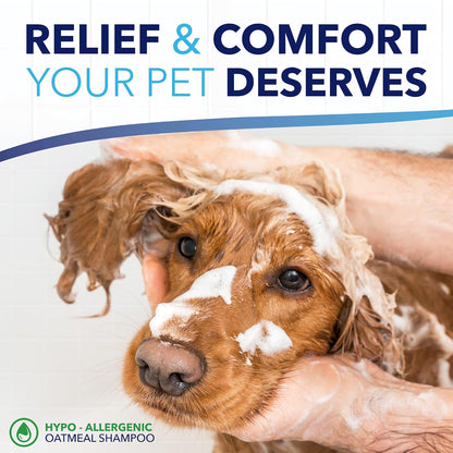 OxyMed Hypoallergenic Dog Shampoo for Allergies and Itching, Skin Soothing Shampoo for Pets with Sensitive Skin, Tearless, Cat Safe, 20oz.
