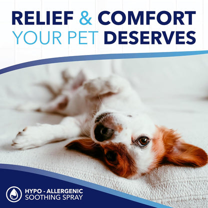 OxyMed Hypoallergenic Dog Shampoo for Allergies and Itching, Skin Soothing Shampoo for Pets with Sensitive Skin, Tearless, Cat Safe, 20oz.