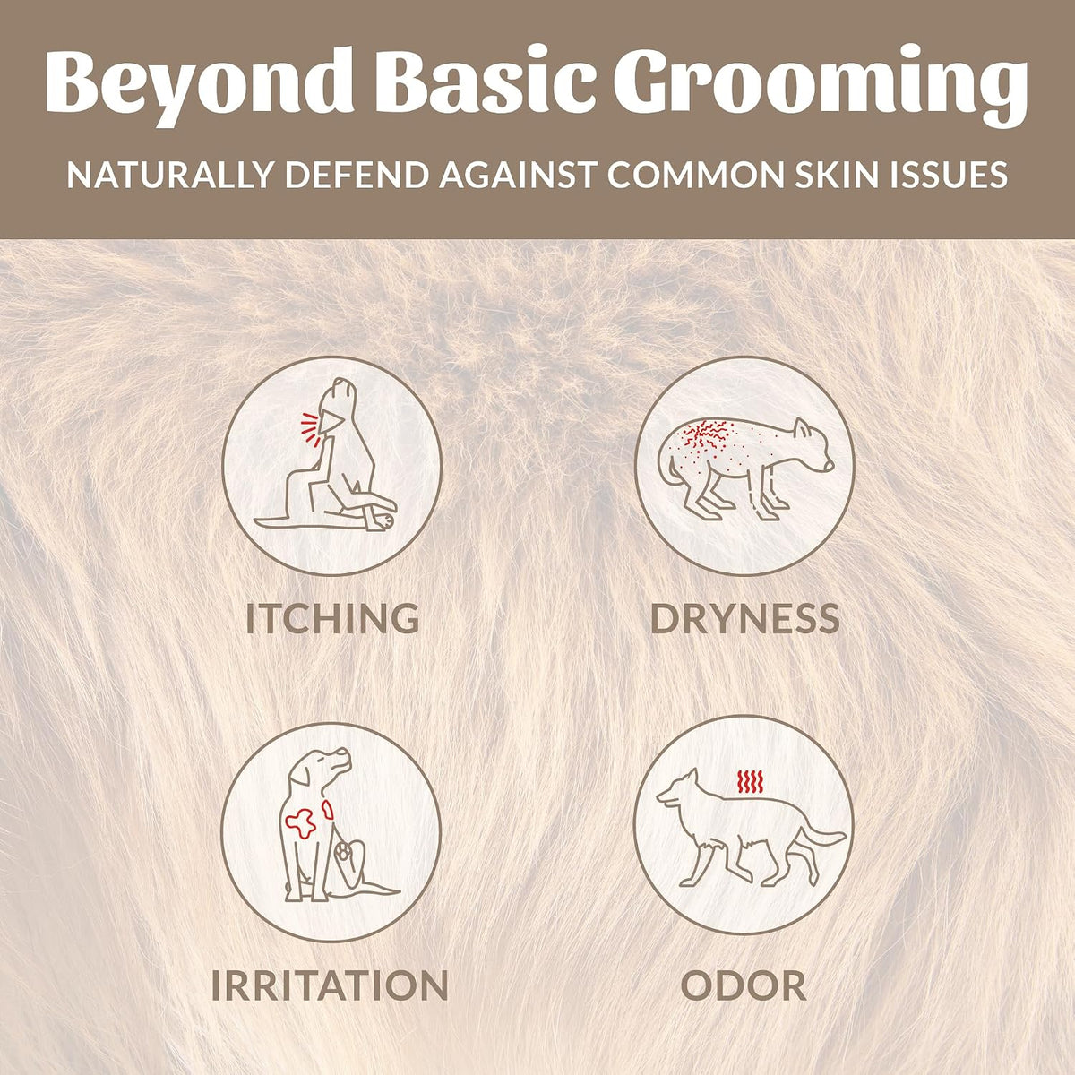 Probiotic Dog Shampoo and Conditioner - DOTW, 16 oz