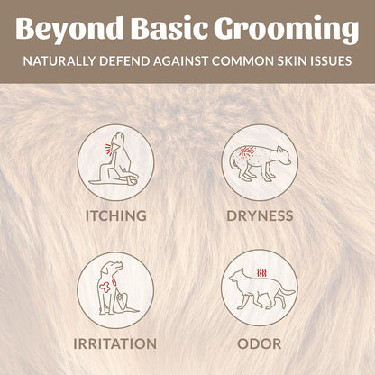 Probiotic Dog Shampoo and Conditioner - DOTW, 16 oz