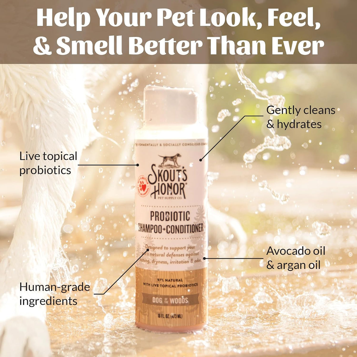 Probiotic Dog Shampoo and Conditioner - DOTW, 16 oz