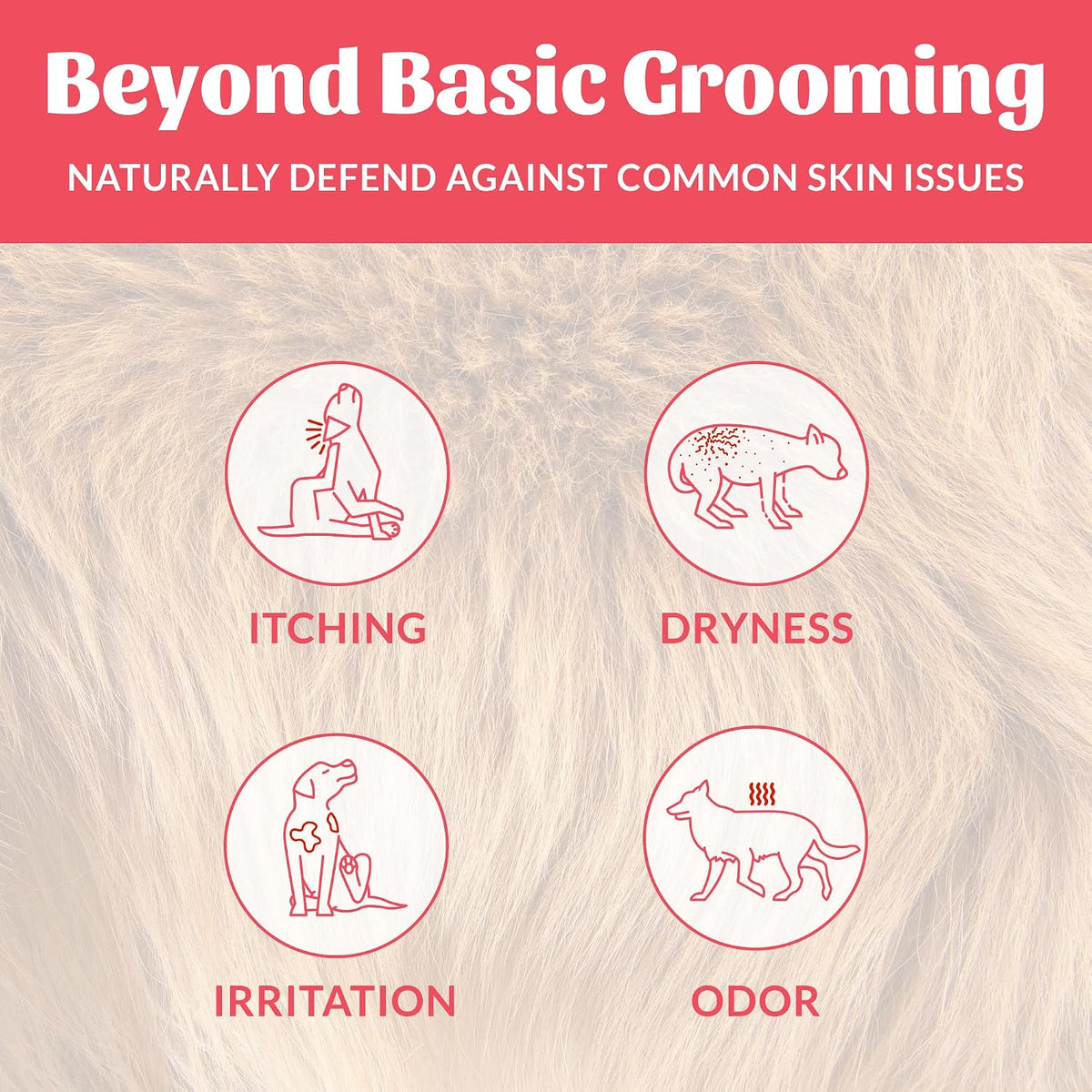 Probiotic Dog Shampoo and Conditioner - DOTW, 16 oz