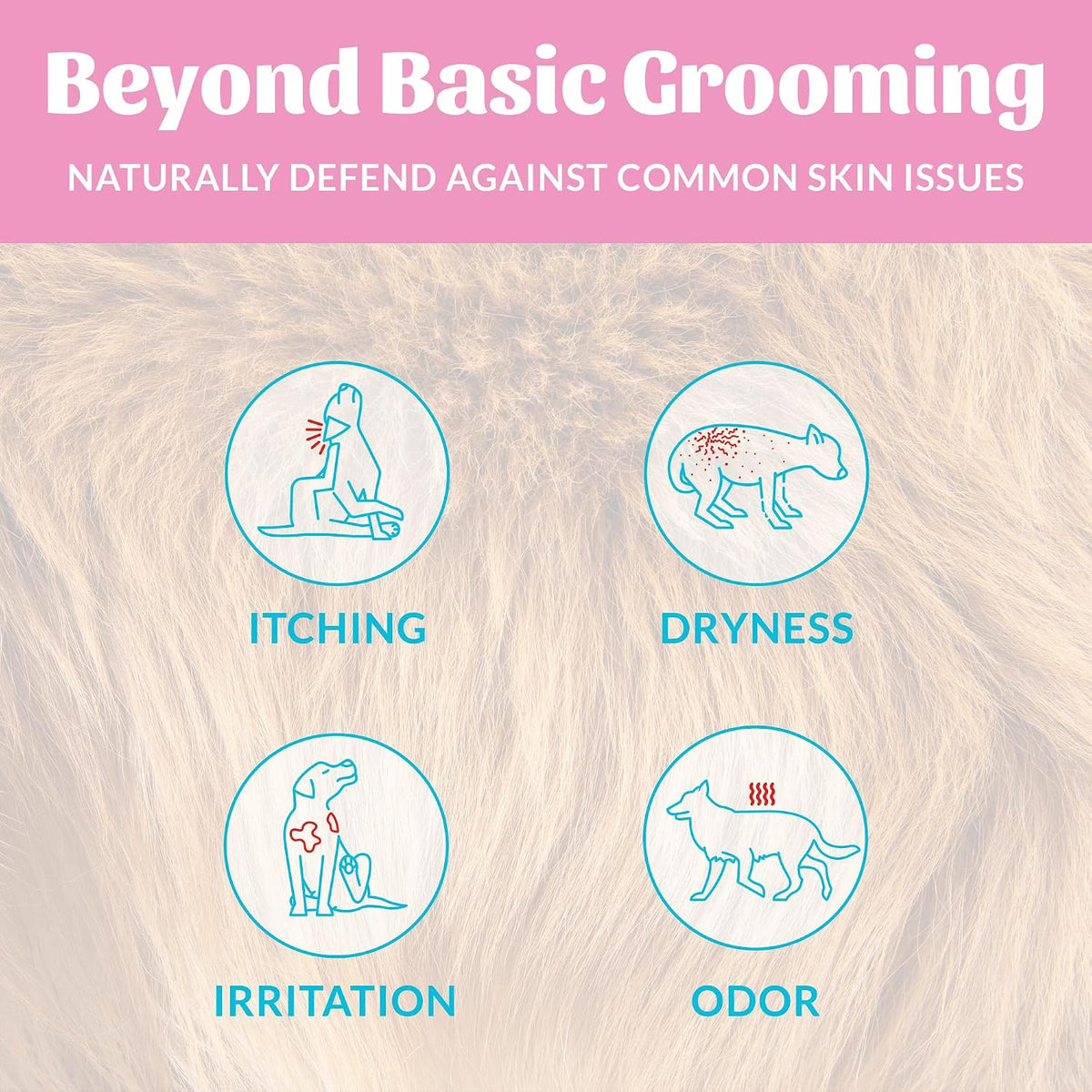 Probiotic Dog Shampoo and Conditioner - DOTW, 16 oz