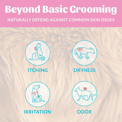 Probiotic Dog Shampoo and Conditioner - DOTW, 16 oz