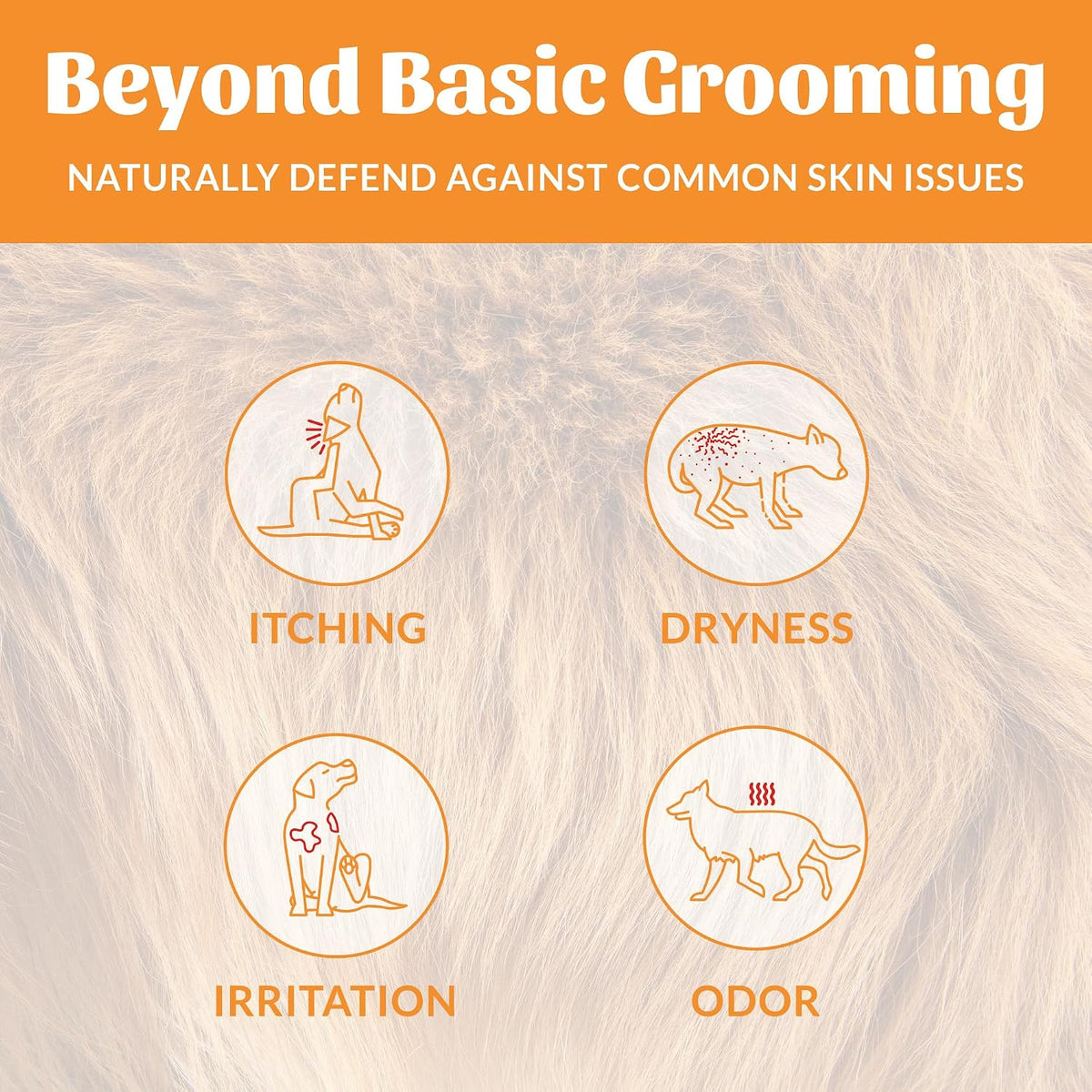 Probiotic Dog Shampoo and Conditioner - DOTW, 16 oz