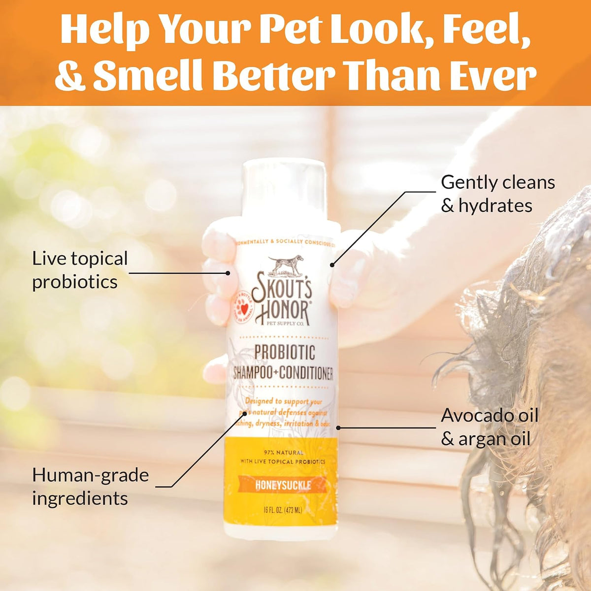 Probiotic Dog Shampoo and Conditioner - DOTW, 16 oz