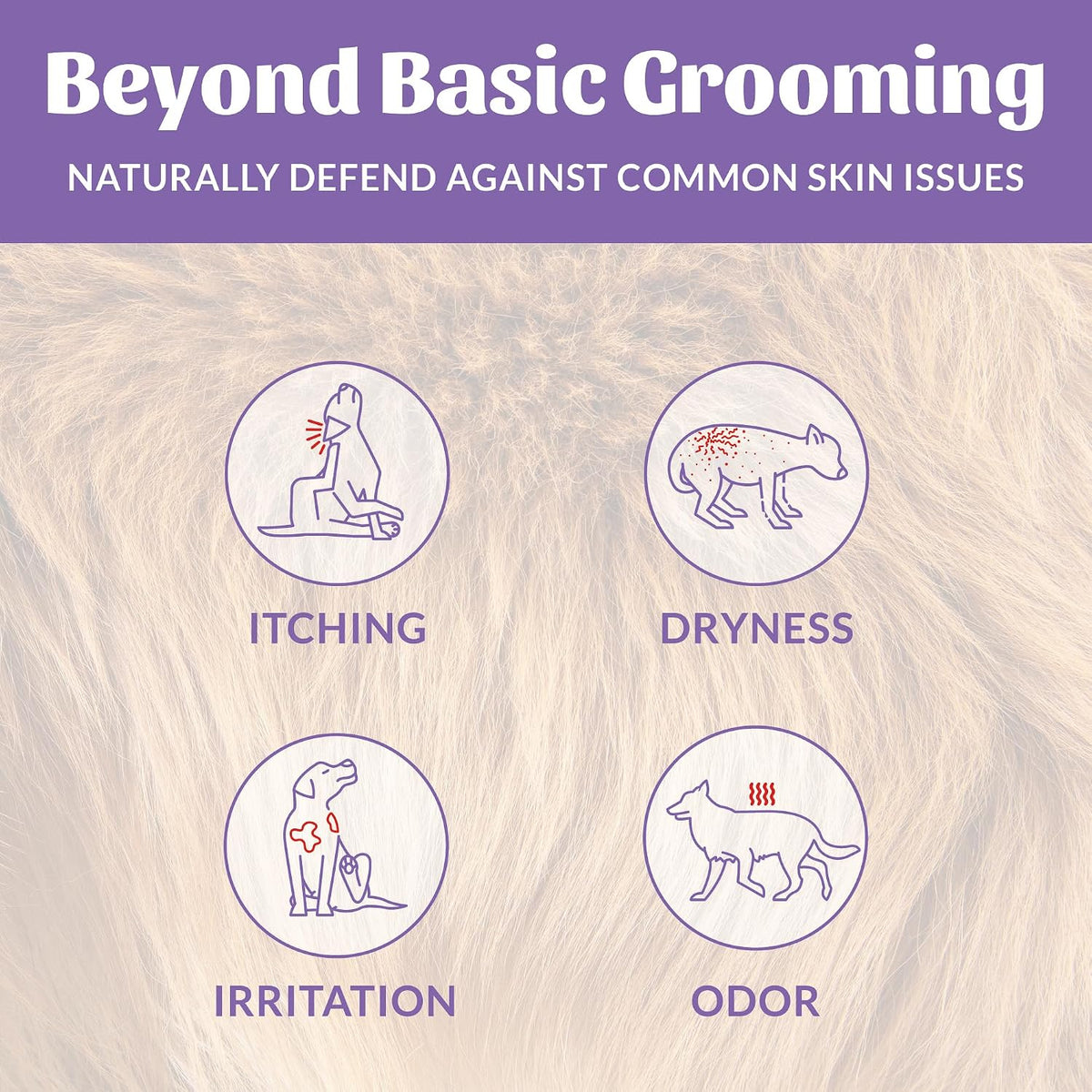 Probiotic Dog Shampoo and Conditioner - DOTW, 16 oz