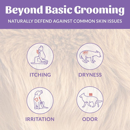 Probiotic Dog Shampoo and Conditioner - DOTW, 16 oz