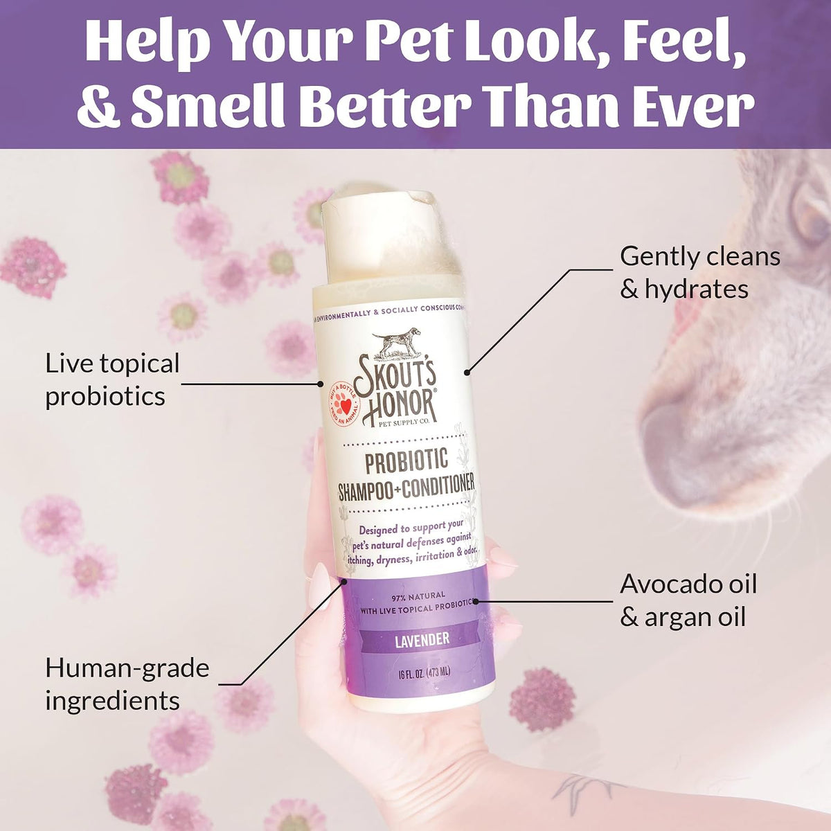 Probiotic Dog Shampoo and Conditioner - DOTW, 16 oz