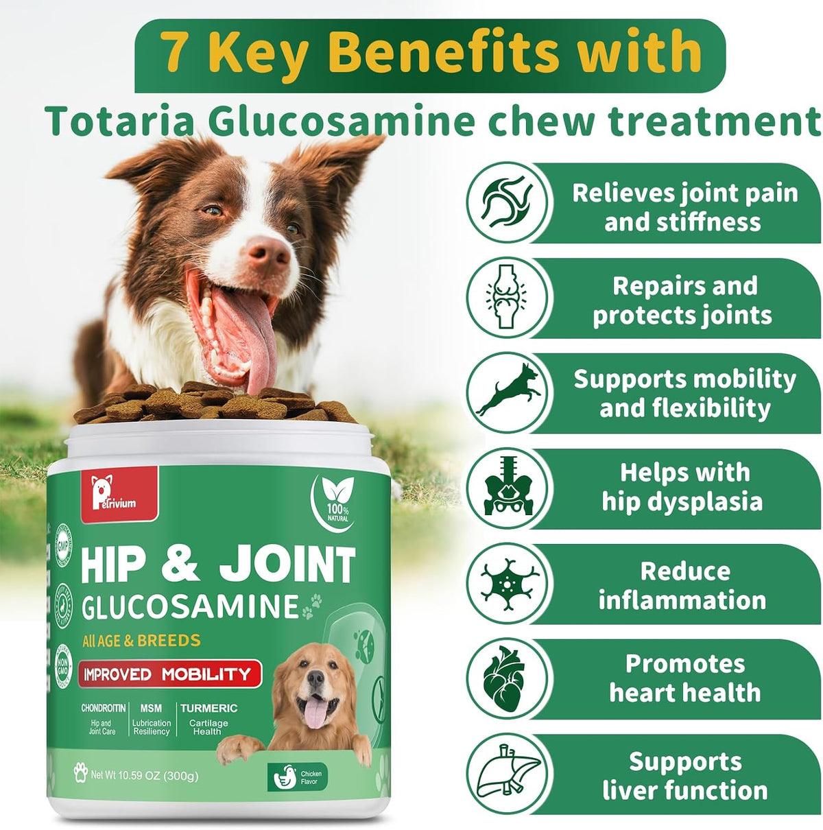 Hip and Joint Supplement for Dogs, Glucosamine Treats Chews with Chondroitin, MSM, Turmeric - Support Joint Pain Relief, Mobility, Reduce Occasional Discomfort, Fit All Ages Breeds, 150 Soft Chew