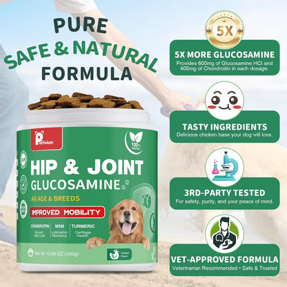 Hip and Joint Supplement for Dogs, Glucosamine Treats Chews with Chondroitin, MSM, Turmeric - Support Joint Pain Relief, Mobility, Reduce Occasional Discomfort, Fit All Ages Breeds, 150 Soft Chew
