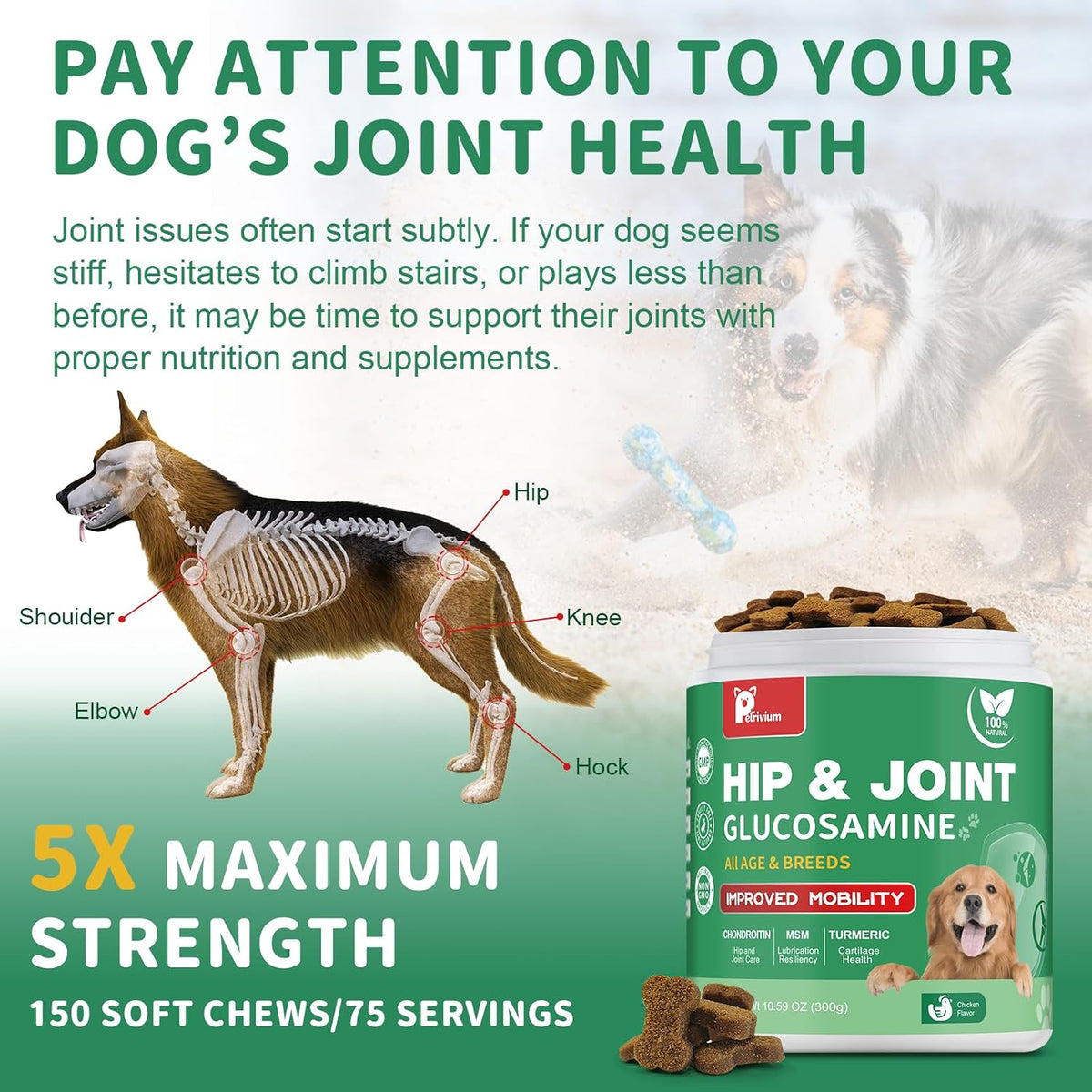 Hip and Joint Supplement for Dogs, Glucosamine Treats Chews with Chondroitin, MSM, Turmeric - Support Joint Pain Relief, Mobility, Reduce Occasional Discomfort, Fit All Ages Breeds, 150 Soft Chew