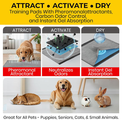 Glad for Pets XL Charcoal Training Pads for Dogs and Puppies, 30 Count