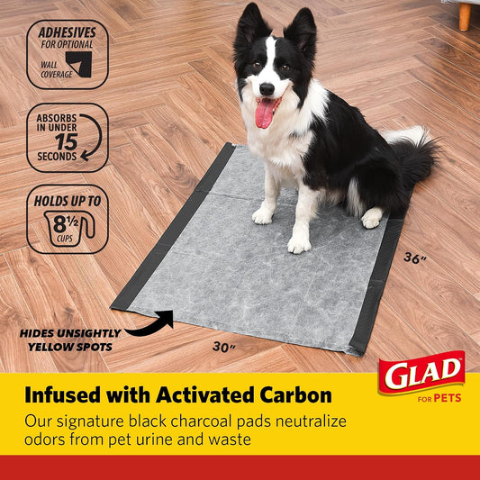 Glad for Pets Giant Activated Carbon Training Pads, 30 x 36 In, 24 Count