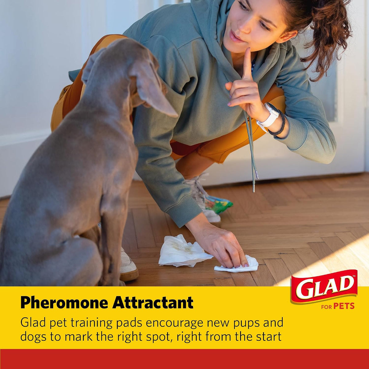 Glad for Pets Giant Activated Carbon Training Pads, 30 x 36 In, 24 Count