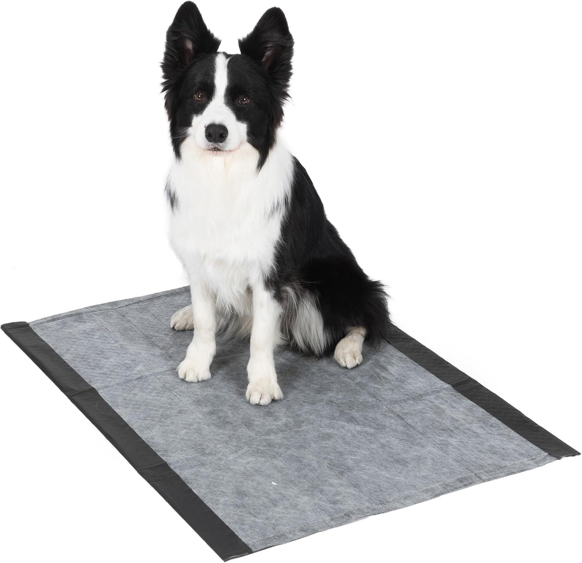Glad for Pets Giant Activated Carbon Training Pads, 30 x 36 In, 24 Count