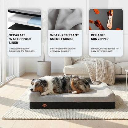 Orthopedic Dog Bed, Slate Grey 50''x36''x10'', Memory Foam