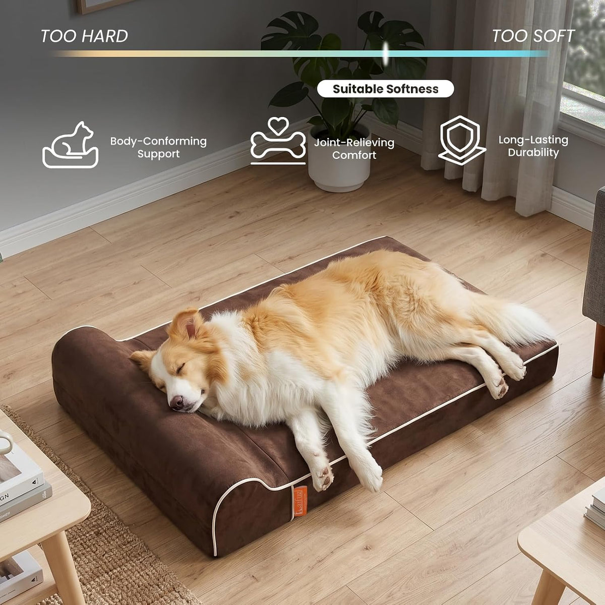Orthopedic Dog Bed, Slate Grey 50''x36''x10'', Memory Foam