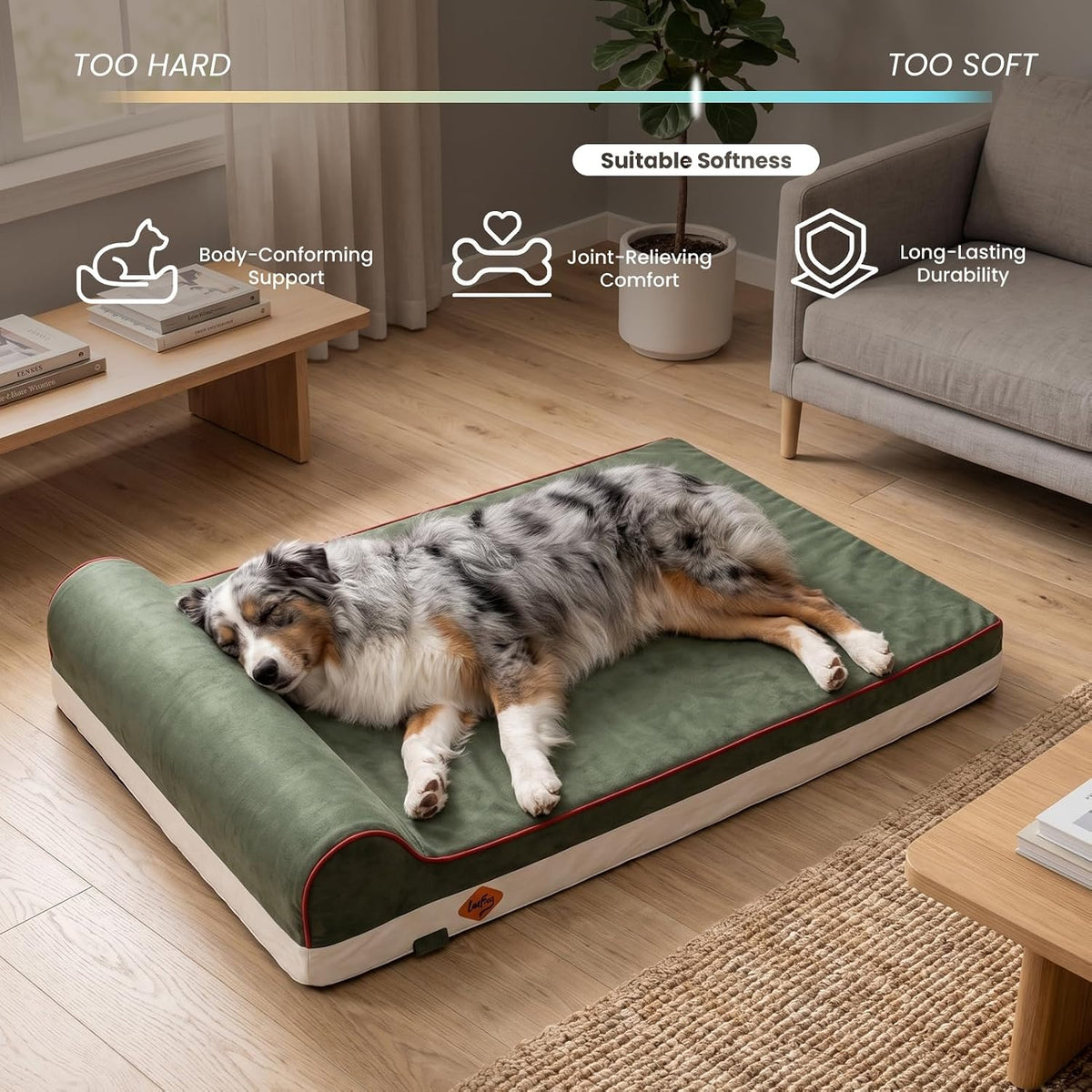 Orthopedic Dog Bed, Slate Grey 50''x36''x10'', Memory Foam