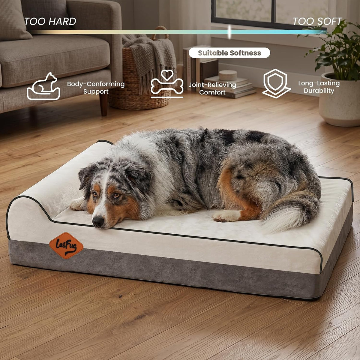 Orthopedic Dog Bed, Slate Grey 50''x36''x10'', Memory Foam