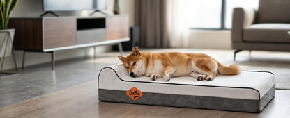 Orthopedic Dog Bed, Slate Grey 50''x36''x10'', Memory Foam