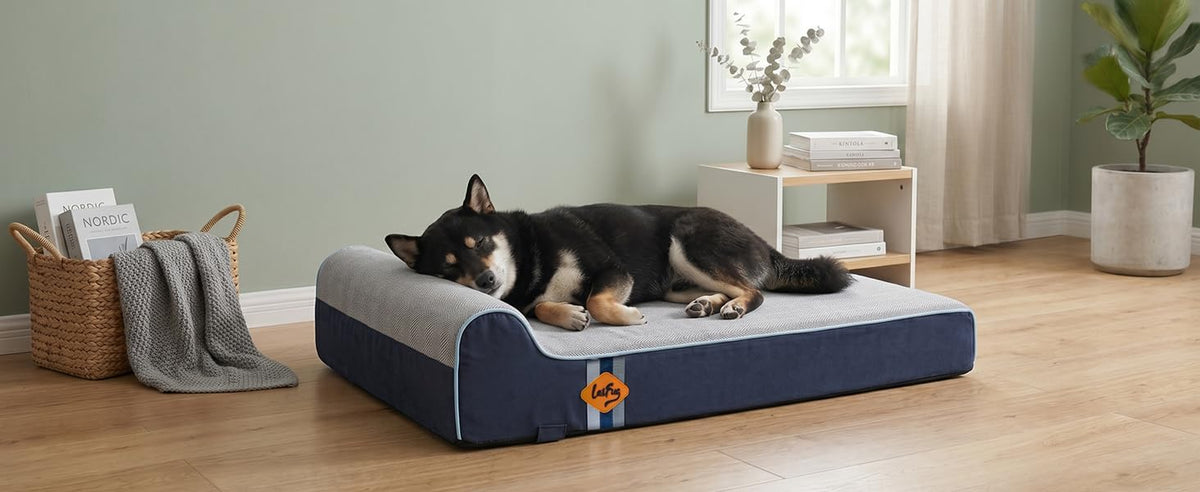 Orthopedic Dog Bed, Slate Grey 50''x36''x10'', Memory Foam